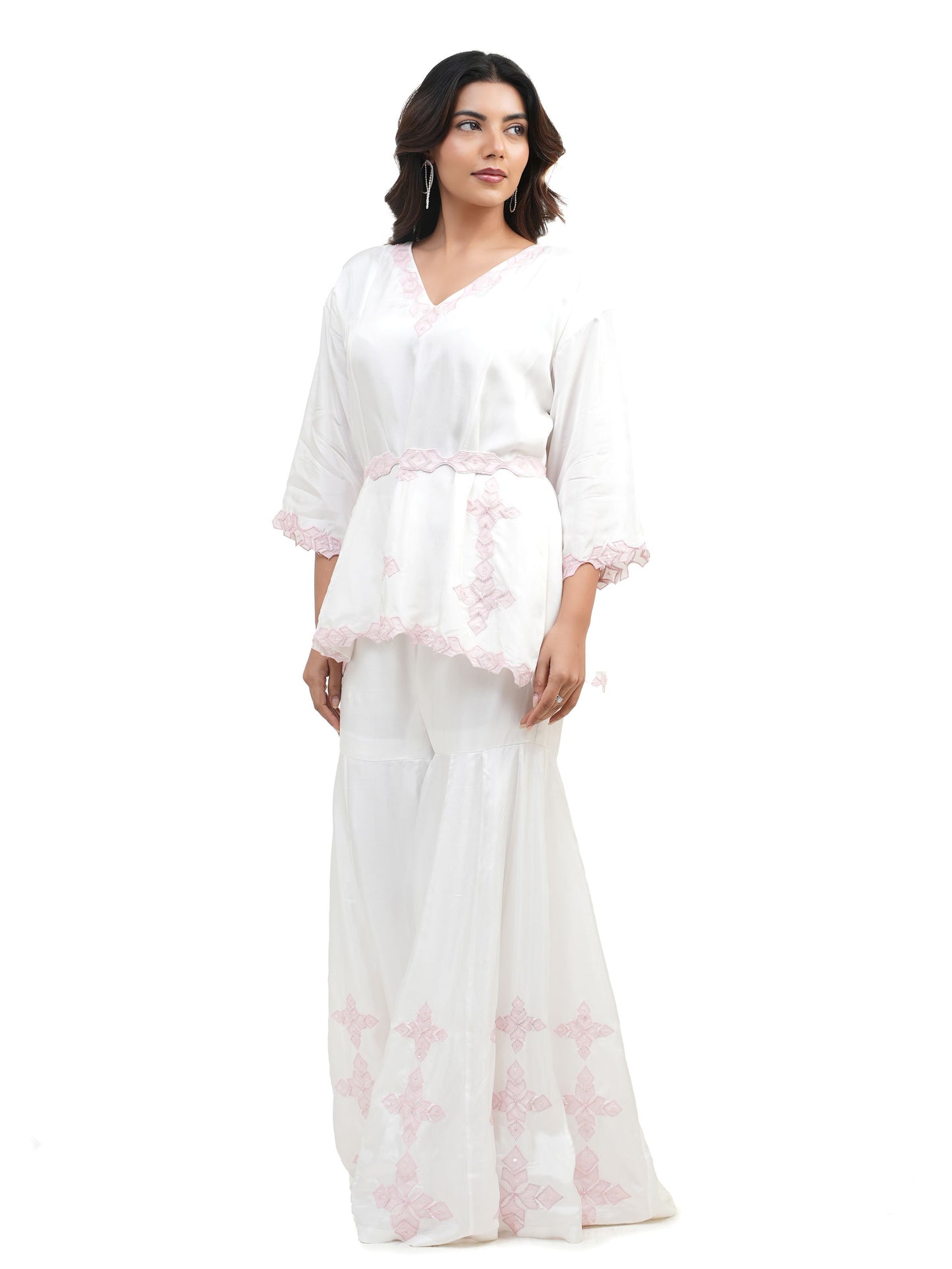 PINK SHADOW WORK SHARARA SET