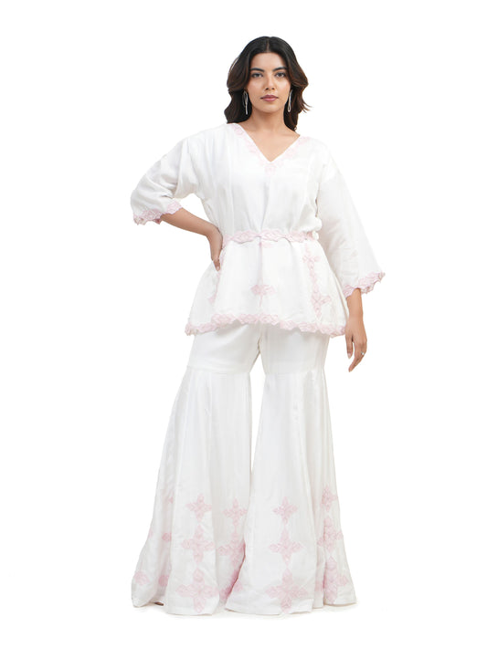 PINK SHADOW WORK SHARARA SET
